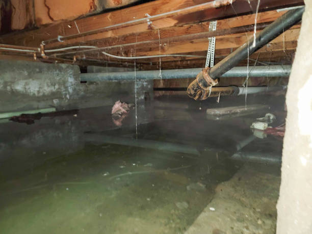 Best Water damage restoration near me  in West Point, KY