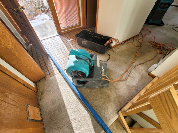 Best Water damage contractors near me  in West Point, KY