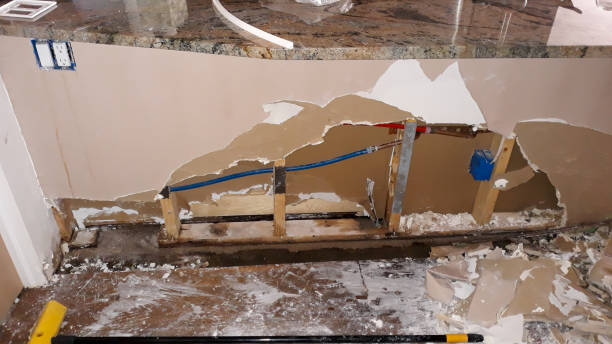 Best Water damage contractors near me  in West Point, KY