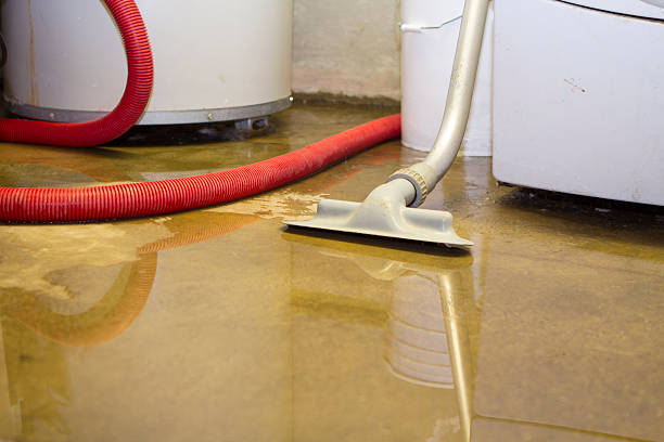  West Point, KY Water damage restoration Pros